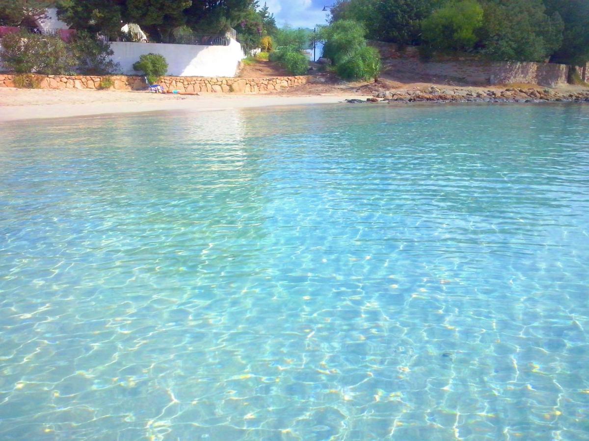 אולביה Sea Love מראה חיצוני תמונה
